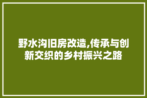 野水沟旧房改造,传承与创新交织的乡村振兴之路