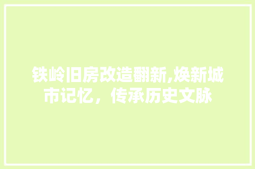 铁岭旧房改造翻新,焕新城市记忆，传承历史文脉