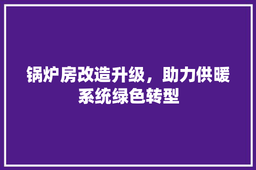 锅炉房改造升级，助力供暖系统绿色转型