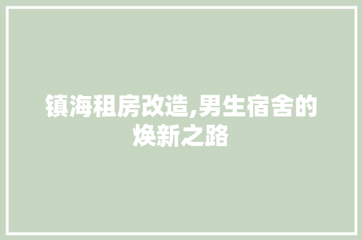 镇海租房改造,男生宿舍的焕新之路