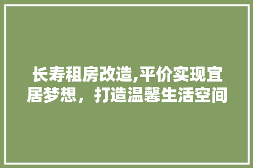 长寿租房改造,平价实现宜居梦想，打造温馨生活空间