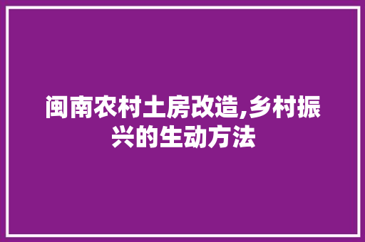 闽南农村土房改造,乡村振兴的生动方法