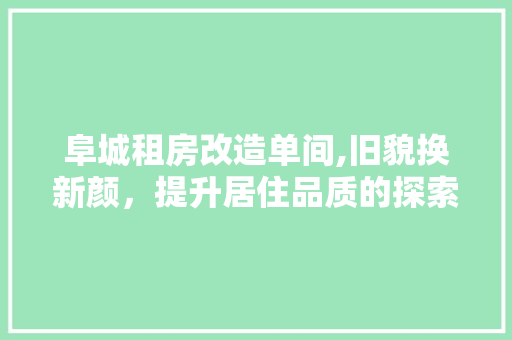 阜城租房改造单间,旧貌换新颜，提升居住品质的探索之路