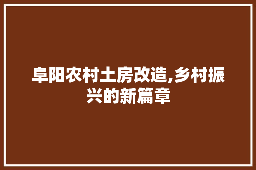 阜阳农村土房改造,乡村振兴的新篇章