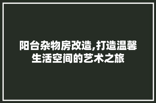 阳台杂物房改造,打造温馨生活空间的艺术之旅