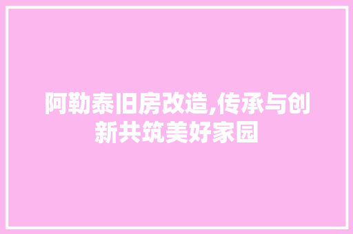 阿勒泰旧房改造,传承与创新共筑美好家园