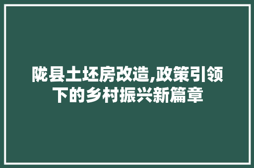 陇县土坯房改造,政策引领下的乡村振兴新篇章