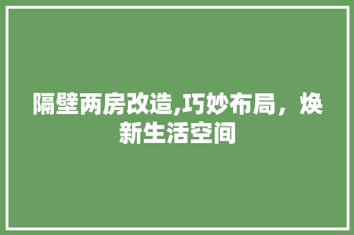 隔壁两房改造,巧妙布局，焕新生活空间