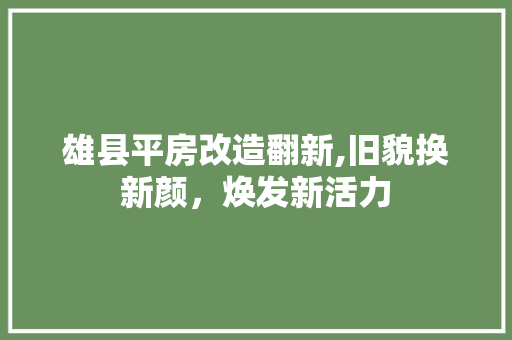 雄县平房改造翻新,旧貌换新颜，焕发新活力