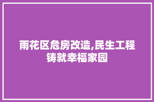 雨花区危房改造,民生工程铸就幸福家园