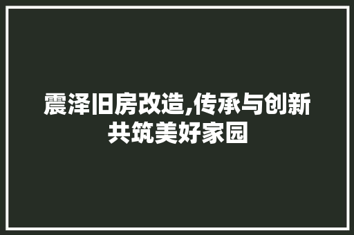 震泽旧房改造,传承与创新共筑美好家园
