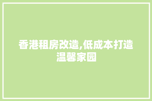 香港租房改造,低成本打造温馨家园