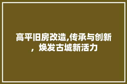 高平旧房改造,传承与创新，焕发古城新活力
