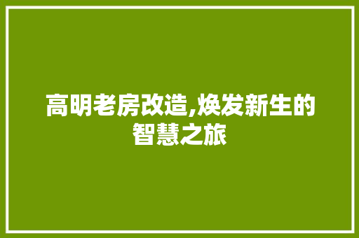 高明老房改造,焕发新生的智慧之旅