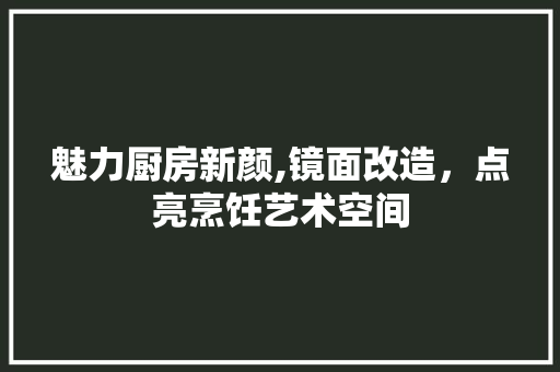 魅力厨房新颜,镜面改造，点亮烹饪艺术空间