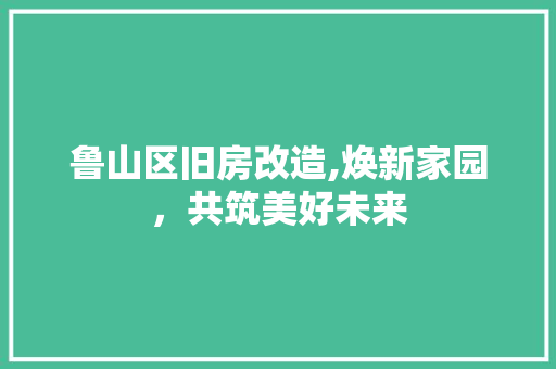 鲁山区旧房改造,焕新家园，共筑美好未来
