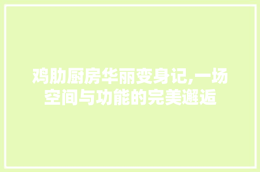 鸡肋厨房华丽变身记,一场空间与功能的完美邂逅