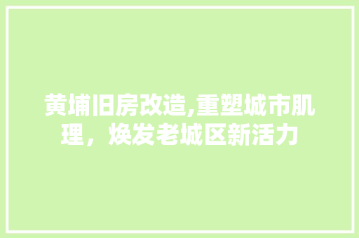 黄埔旧房改造,重塑城市肌理，焕发老城区新活力