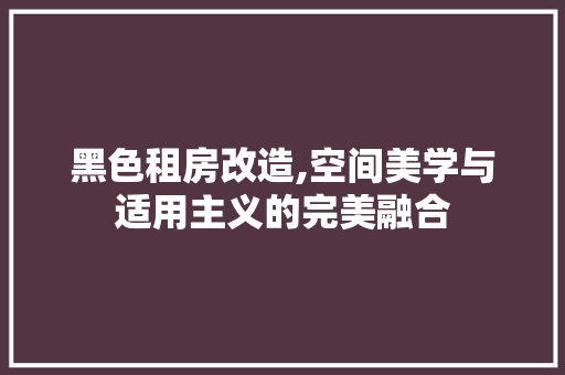 黑色租房改造,空间美学与适用主义的完美融合