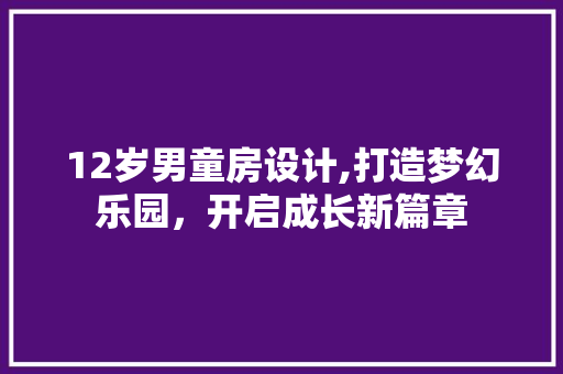 12岁男童房设计,打造梦幻乐园，开启成长新篇章
