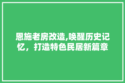 恩施老房改造,唤醒历史记忆，打造特色民居新篇章