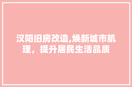 汉阳旧房改造,焕新城市肌理，提升居民生活品质