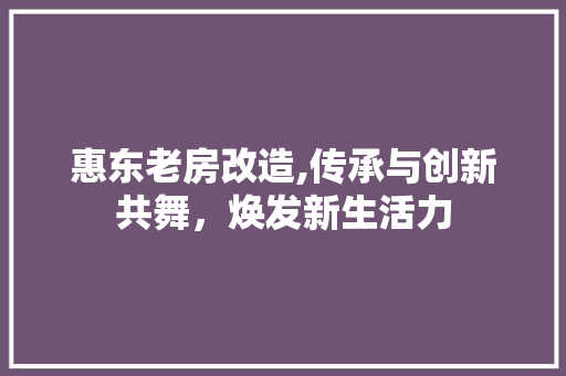 惠东老房改造,传承与创新共舞，焕发新生活力