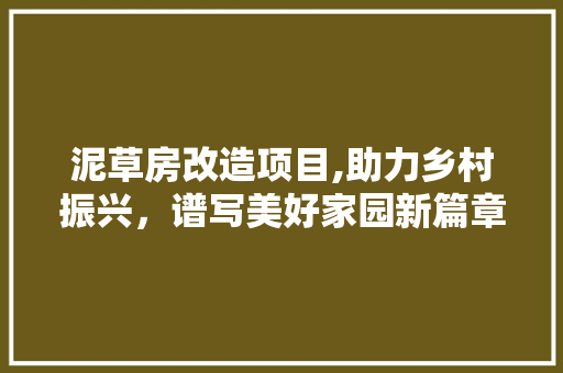 泥草房改造项目,助力乡村振兴，谱写美好家园新篇章