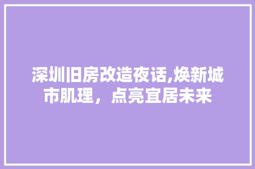 深圳旧房改造夜话,焕新城市肌理，点亮宜居未来