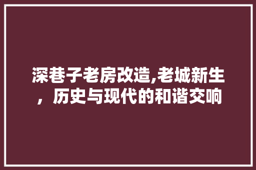 深巷子老房改造,老城新生，历史与现代的和谐交响