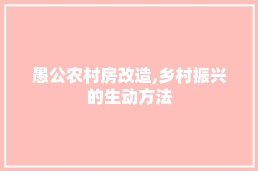 愚公农村房改造,乡村振兴的生动方法