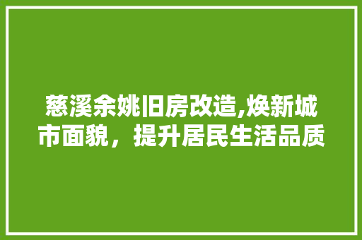 慈溪余姚旧房改造,焕新城市面貌，提升居民生活品质