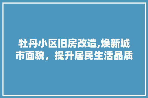 牡丹小区旧房改造,焕新城市面貌，提升居民生活品质