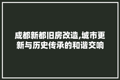 成都新都旧房改造,城市更新与历史传承的和谐交响