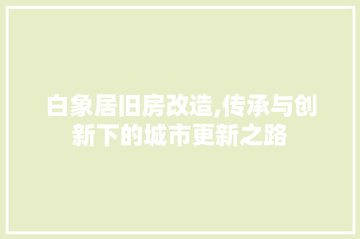白象居旧房改造,传承与创新下的城市更新之路