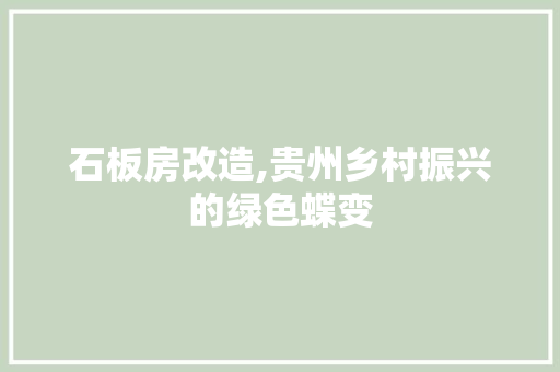 石板房改造,贵州乡村振兴的绿色蝶变