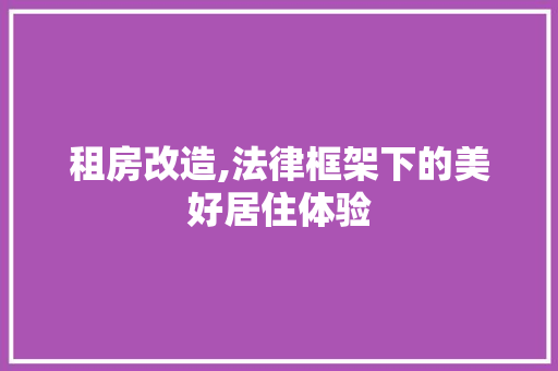 租房改造,法律框架下的美好居住体验
