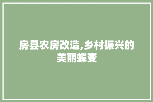 房县农房改造,乡村振兴的美丽蝶变