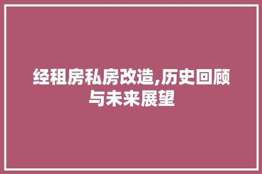 经租房私房改造,历史回顾与未来展望