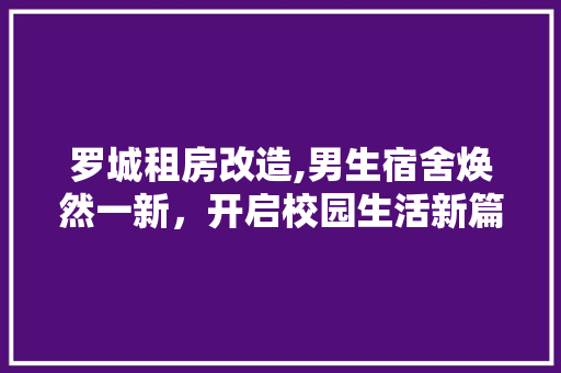 罗城租房改造,男生宿舍焕然一新，开启校园生活新篇章