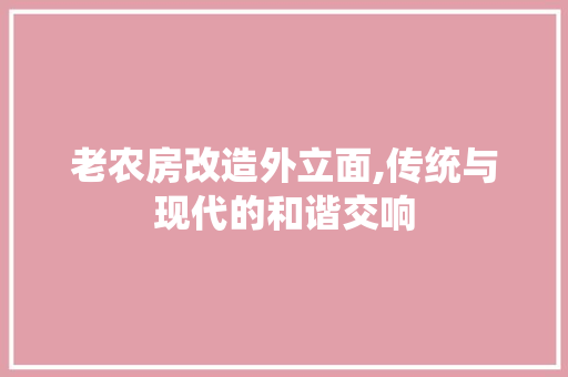 老农房改造外立面,传统与现代的和谐交响