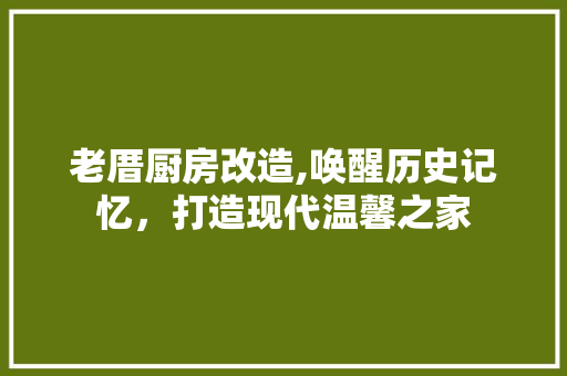 老厝厨房改造,唤醒历史记忆，打造现代温馨之家
