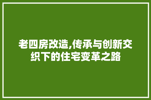 老四房改造,传承与创新交织下的住宅变革之路