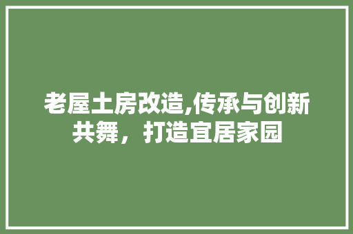 老屋土房改造,传承与创新共舞，打造宜居家园