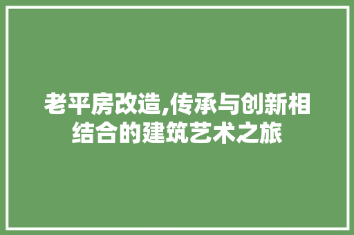 老平房改造,传承与创新相结合的建筑艺术之旅