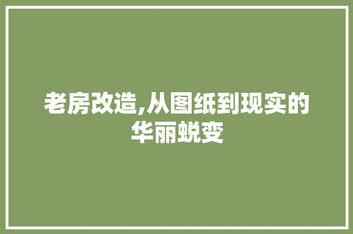 老房改造,从图纸到现实的华丽蜕变