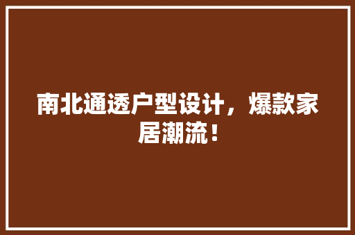 南北通透户型设计，爆款家居潮流！