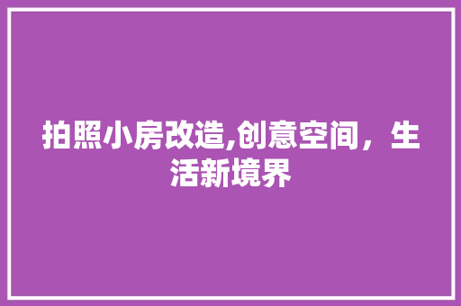 拍照小房改造,创意空间，生活新境界