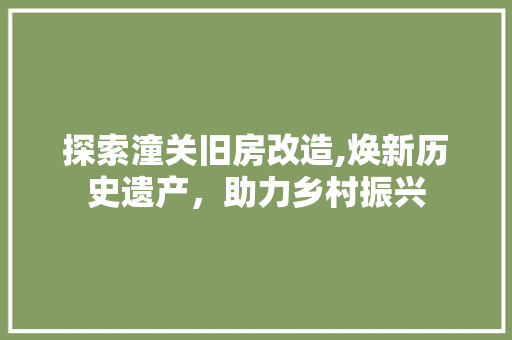 探索潼关旧房改造,焕新历史遗产，助力乡村振兴