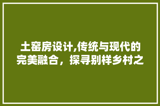 土窑房设计,传统与现代的完美融合，探寻别样乡村之美
